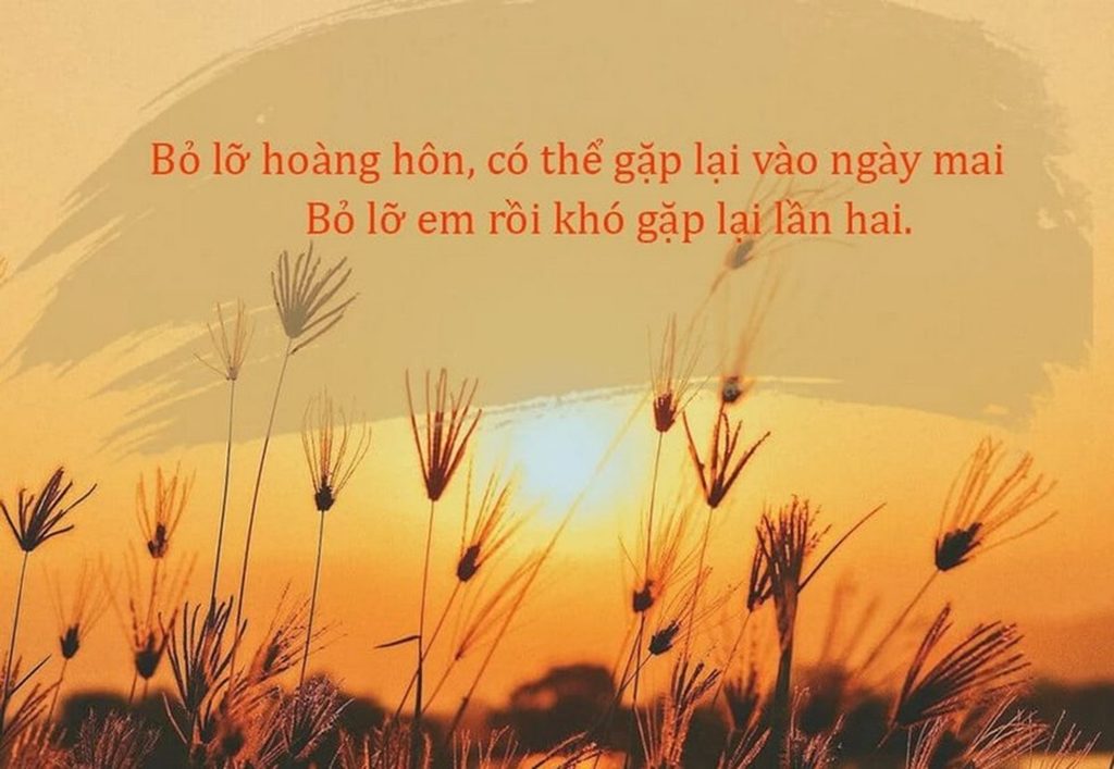 Ảnh hoàng hôn có chữ lãng mạn 