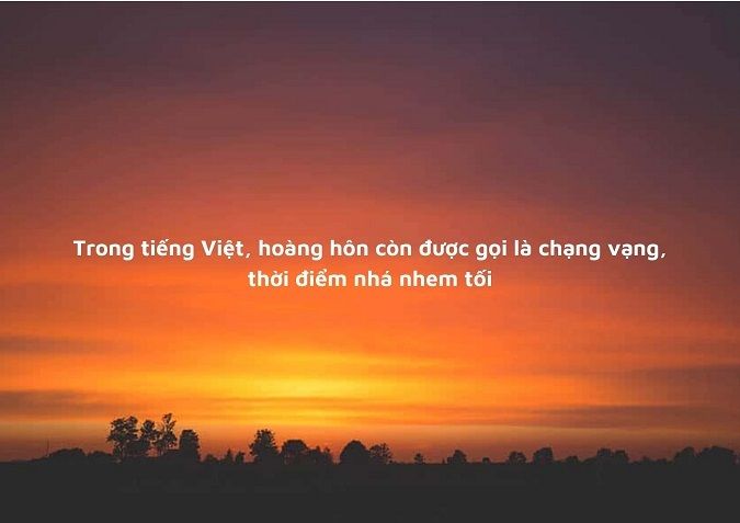 Ảnh hoàng hôn có chữ caption hay 