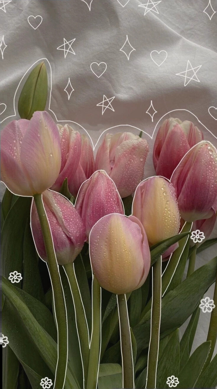 Hình nền hoa tulip cute độc đáo
