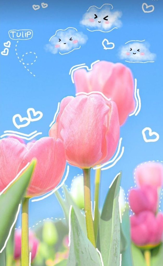 Hình nền hoa tulip cute và chill nhẹ nhàng