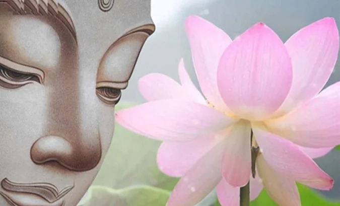Hình ảnh hoa sen hồng và đức Phật